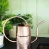 Copper Indoor Watering Can -Garden Care Store 8593724 5369 tif