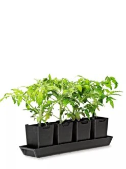 Pop-Out Pots, Set Of 4 -Garden Care Store 8593943 1260 tif