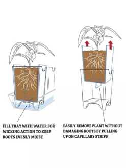 Pop-Out Pots, Set Of 4 -Garden Care Store 8593943 2