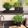 Pop-Out Pots, Set Of 4 -Garden Care Store 8593943 4731 tif