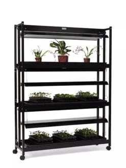High Intensity 3-Tier SunLite® Garden 13 High Intensity 3-Tier SunLite® Garden -Garden Care Store 8593944 1608 tif