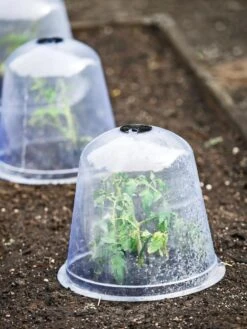 Large Garden Cloches, Set Of 3 7 Large Garden Cloches, Set Of 3 -Garden Care Store 8593984 9432 tif