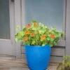 Viva Round Self-Watering Rolling Planter, 17.25” Diameter 1 Viva Round Self-Watering Rolling Planter, 17.25” Diameter -Garden Care Store 8594077 0087 tif