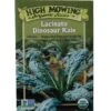 Lacinato Dino Kale Organic Seeds -Garden Care Store 8594082 9241 tif