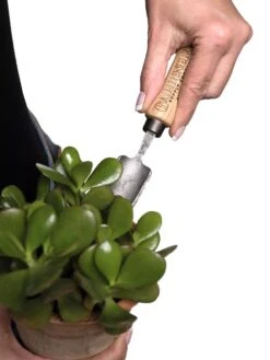 Gardener's Lifetime Mini Trowel -Garden Care Store 8594146 0111 tif