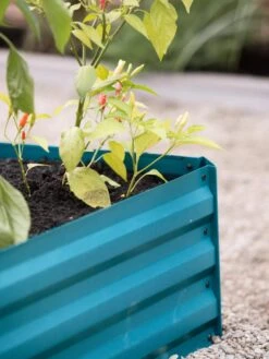 Demeter Corrugated Metal Raised Bed, 34" X 34" -Garden Care Store 8594183 470 tif