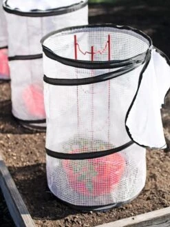 Tomato TLC Kits, Set Of 3 8 Tomato TLC Kits, Set Of 3 -Garden Care Store 8594214 0186 tif