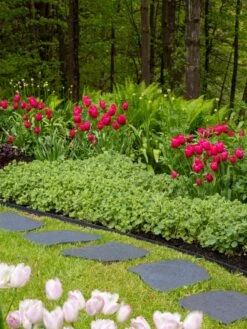 Recycled Rubber Flagstone Stepping Stone 18 Recycled Rubber Flagstone Stepping Stone -Garden Care Store 8594282 518 tif