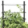 Gardener's Revolution® Classic Tomato Extension -Garden Care Store 8594367 0047 001E gardeners revolution classic tomato cage extension tif