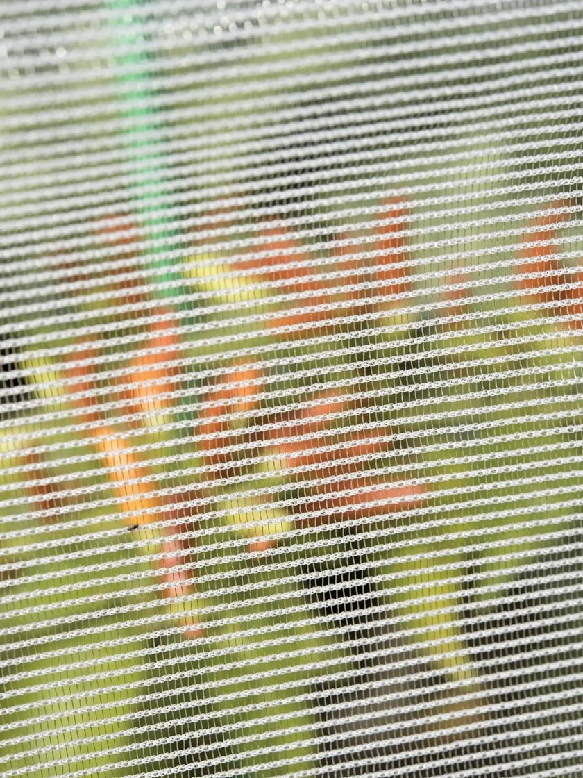 Bug Out Garden Insect Screen, 13' X 20' 4 Bug Out Garden Insect Screen, 13' X 20' - Image 2