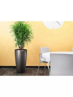 Lechuza® Rondo Self-Watering Planters -Garden Care Store 8594586 02V tif