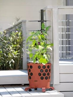 Gardener's Revolution® Tomato Planter 9 Gardener's Revolution® Tomato Planter -Garden Care Store 8594743 2618 tif