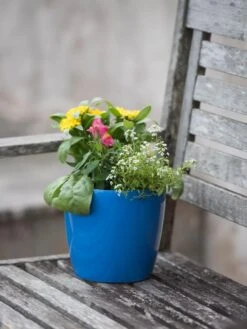 Viva Round Self-Watering Planter, 7" Diameter 9 Viva Round Self-Watering Planter, 7" Diameter -Garden Care Store 8595222 1143 tif