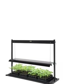 LED SunLite® Tabletop Garden -Garden Care Store 8595552 10125 tif
