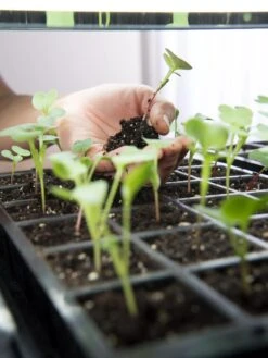 LED Stack-n-Grow Lights - Base Unit 9 LED Stack-n-Grow Lights - Base Unit -Garden Care Store 8595770 7373 tif