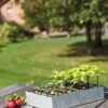 Galvanized Seed Starting Tray
