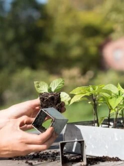 Galvanized Seed Starting Tray -Garden Care Store 8595893 4382 tif