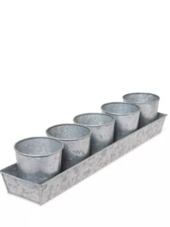 Galvanized Herb Planters With Rectangular Tray -Garden Care Store 8595903 3924 tif