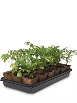 3-1/2” Square Biodegradable Pots & Tray Set 7 3-1/2” Square Biodegradable Pots & Tray Set -Garden Care Store 8595968 3916 tif