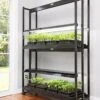 LED SunLite® High Intensity 2-Tier Garden -Garden Care Store 8596023 3129 tif