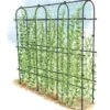 Titan Pea Tunnel -Garden Care Store 8596275 0002 1 tif