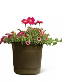 Eezy Gro Self-Watering Planters -Garden Care Store 8596427 108 tif