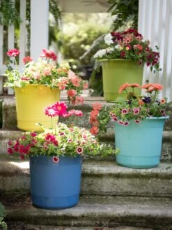 Eezy Gro Self-Watering Planters -Garden Care Store 8596427 8090 tif