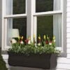 Valencia Window Box, 3' 2 Valencia Window Box, 3' -Garden Care Store 8596436 7496 tif