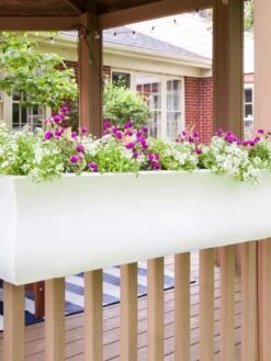 Valencia Window Box, 4' 11 Valencia Window Box, 4' -Garden Care Store 8596437 006V tif