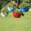 Viva Self-Watering Hanging Basket, 14" Diameter -Garden Care Store 8596442 0851 tif