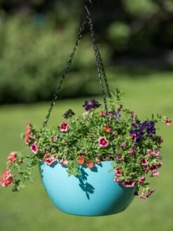 Viva Self-Watering Hanging Basket, 14" Diameter -Garden Care Store 8596442 0859 tif