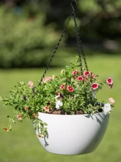 Viva Self-Watering Hanging Basket, 14" Diameter -Garden Care Store 8596442 0864 tif