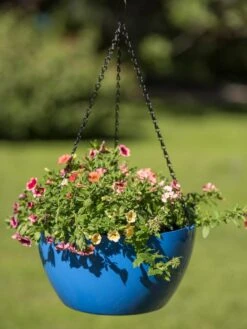 Viva Self-Watering Hanging Basket, 14" Diameter -Garden Care Store 8596442 0876 tif