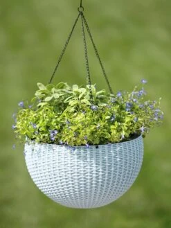 Weave Self-Watering Hanging Basket, 14" -Garden Care Store 8596490 10307 tif
