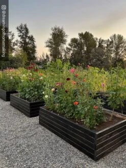 Gardener’s Exterior Wood Stain, 1 Quart -Garden Care Store 8596700 02IN