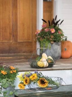 Galvanized Rim Planters -Garden Care Store 8597379 1625 tif