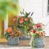 Galvanized Ribbed Planters 1 Galvanized Ribbed Planters -Garden Care Store 8597436 1680 tif