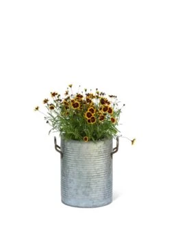 Galvanized Rim Planters -Garden Care Store 8597442 1705 tif