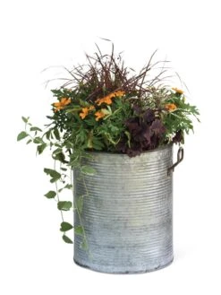 Galvanized Rim Planters -Garden Care Store 8597443 1704 tif