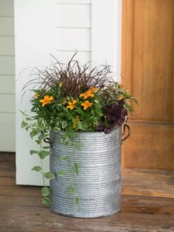 Galvanized Rim Planters -Garden Care Store 8597443 1708 tif