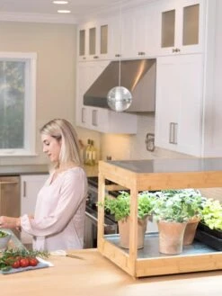 Low Bamboo LED Grow Light Garden -Garden Care Store 8597720 0816 tif