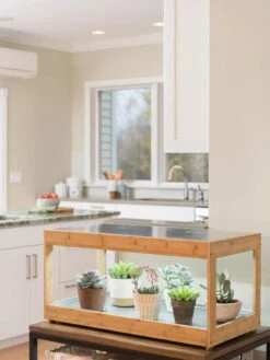 Low Bamboo LED Grow Light Garden -Garden Care Store 8597720 9385 tif