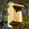Eastern Bluebird Joy Box Bird House 2 Eastern Bluebird Joy Box Bird House -Garden Care Store 8597754 01V tif