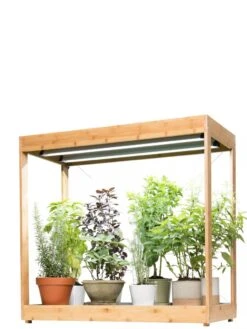 Medium Bamboo LED Grow Light Garden -Garden Care Store 8597883 1011 tif