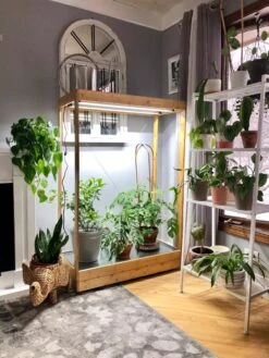 Tall Bamboo LED Grow Light Garden 14 Tall Bamboo LED Grow Light Garden -Garden Care Store 8597884 01IN tif