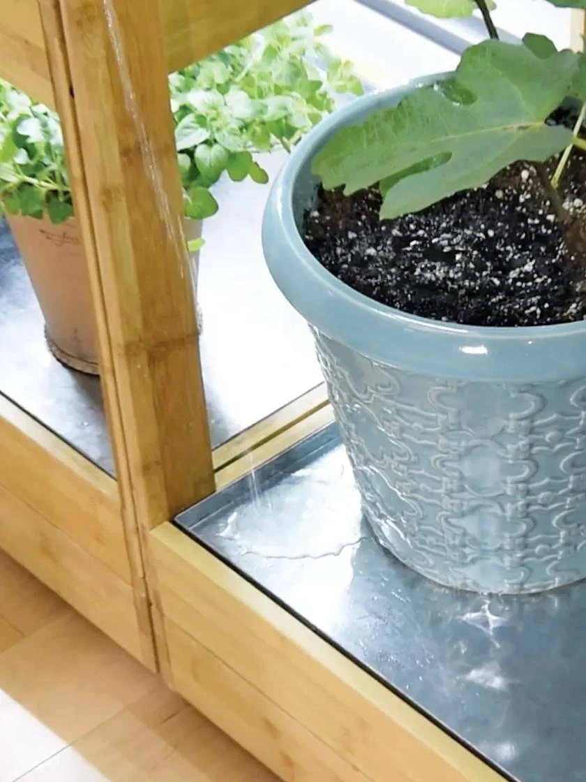 Galvanized Tray For Bamboo LED Grow Light Gardens 4 Galvanized Tray For Bamboo LED Grow Light Gardens - Image 2