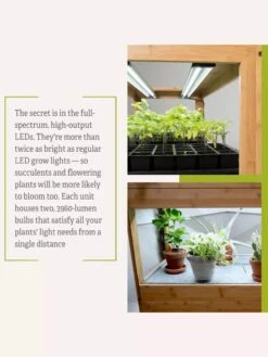 Bamboo LED Grow Light Garden For Succulents And Seeds -Garden Care Store 8598084 7