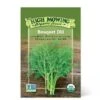 Bouquet Dill Organic Seeds -Garden Care Store 8598222 01v bouquet dill organic seeds