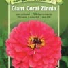Giant Coral Zinnia Organic Seeds -Garden Care Store 8598226 01V tif