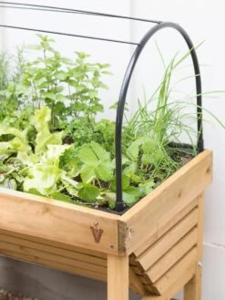 VegTrug® Mini Wallhugger Planter With Cover -Garden Care Store 8598339 4004 tif
